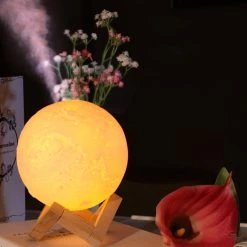 Juwas NEW ARRIVAL Lunar Moon Night Lamp Humidifier
