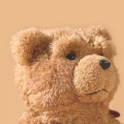 -Juwas NEW ARRIVAL Teddy Bear Airpods Case