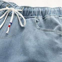 Juwas Japanese Letters Dinosaur Embroidery Shorts CLOTHING