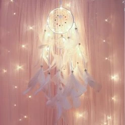 Juwas.com Online Store Kawaii Feather Dreamcatcher With Light