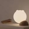 Juwas Adorable Round Cat Warm Night Light NEW ARRIVAL