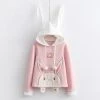 Juwas Cute Bunny Embroidery Hoodie CLOTHING