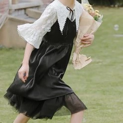 Juwas NEW ARRIVAL Kawaii Vintage Lace Shirt Under Dress