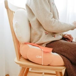 Juwas Cute Duck Inspired Cushion NEW ARRIVAL