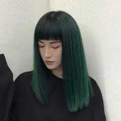 Juwas.com Online Store Korean Mixed Color Straight Air Bangs Wig