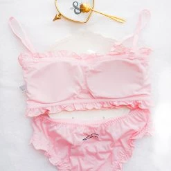 Juwas.com Online Store Cute Pink Pig Bra Underwear Set NEW ARRIVAL