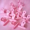 Juwas NEW ARRIVAL Pink Clips (10pcs/set)